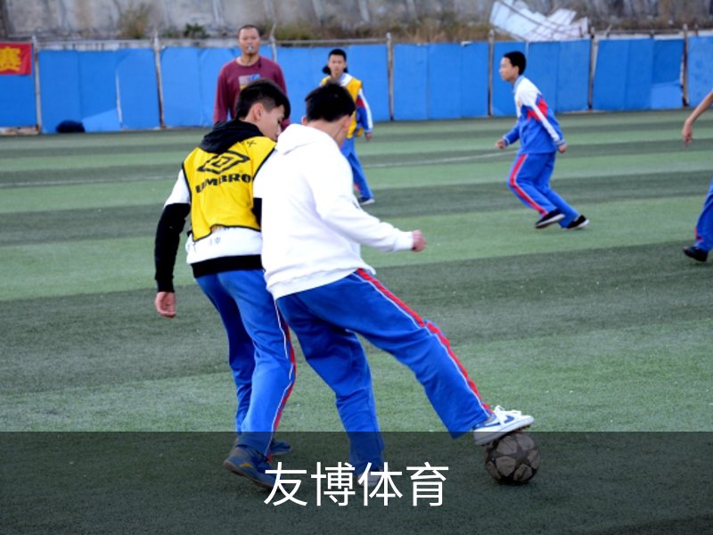 走进友博体育